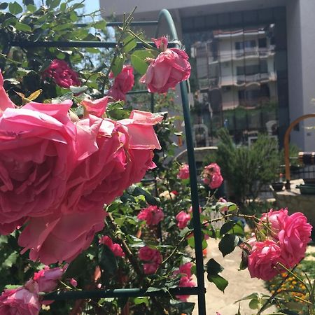 Apartments Milena Tivat Zewnętrze zdjęcie